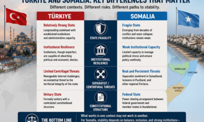 Chart showing differences between Türkiye and Somalia: state fragility, institutional resilience, separatist threats, and constitutional structures