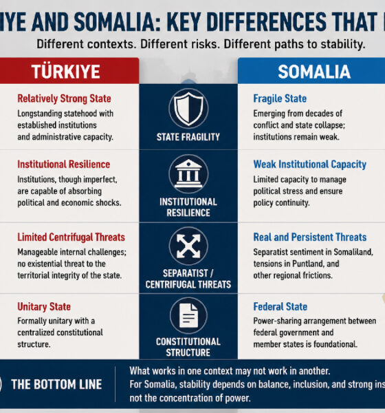 Chart showing differences between Türkiye and Somalia: state fragility, institutional resilience, separatist threats, and constitutional structures