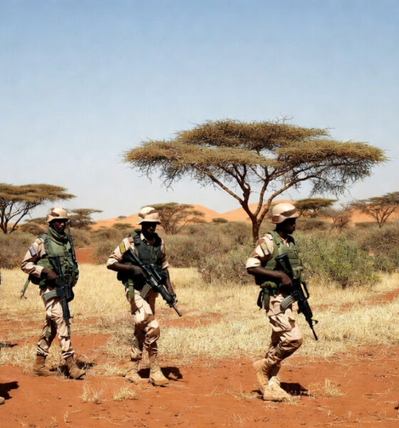 Armed patrol in the Sahel region of Mali, where jihadist insurgencies and ethnic militias have destabilized one of Africa's most sensitive transitional zones.