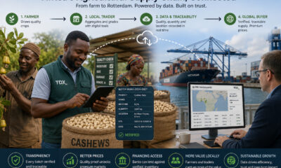 Illustration of Africa’s agricultural export supply chain showing cashew farmers, local traders using digital grading tools, and global buyers in Rotterdam connected through a transparent, data-driven coordination system.
