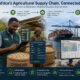Illustration of Africa’s agricultural export supply chain showing cashew farmers, local traders using digital grading tools, and global buyers in Rotterdam connected through a transparent, data-driven coordination system.