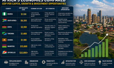 African economies comparison showing GDP per capita growth, productivity, investment opportunities, and wealth creation across Nigeria, South Africa, Kenya, Tanzania, Uganda, Mauritius, and Seychelles.