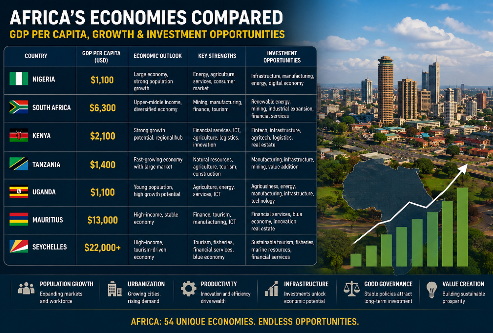 African economies comparison showing GDP per capita growth, productivity, investment opportunities, and wealth creation across Nigeria, South Africa, Kenya, Tanzania, Uganda, Mauritius, and Seychelles.