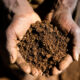 Close-up of weathered hands holding rich African soil, representing the connection between people, land, and sustainable farming.