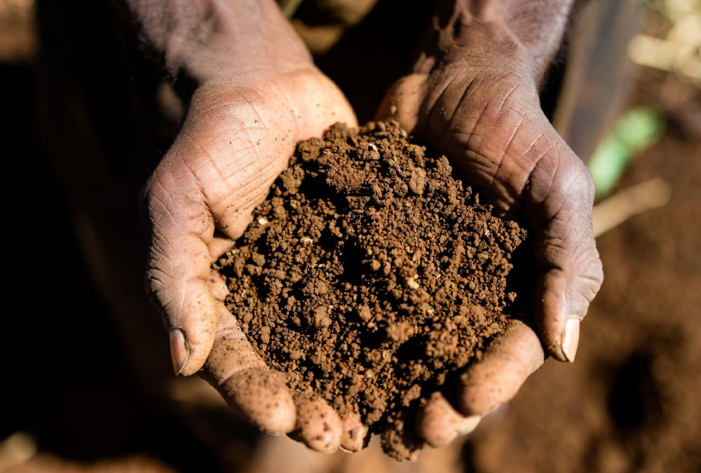 Close-up of weathered hands holding rich African soil, representing the connection between people, land, and sustainable farming.