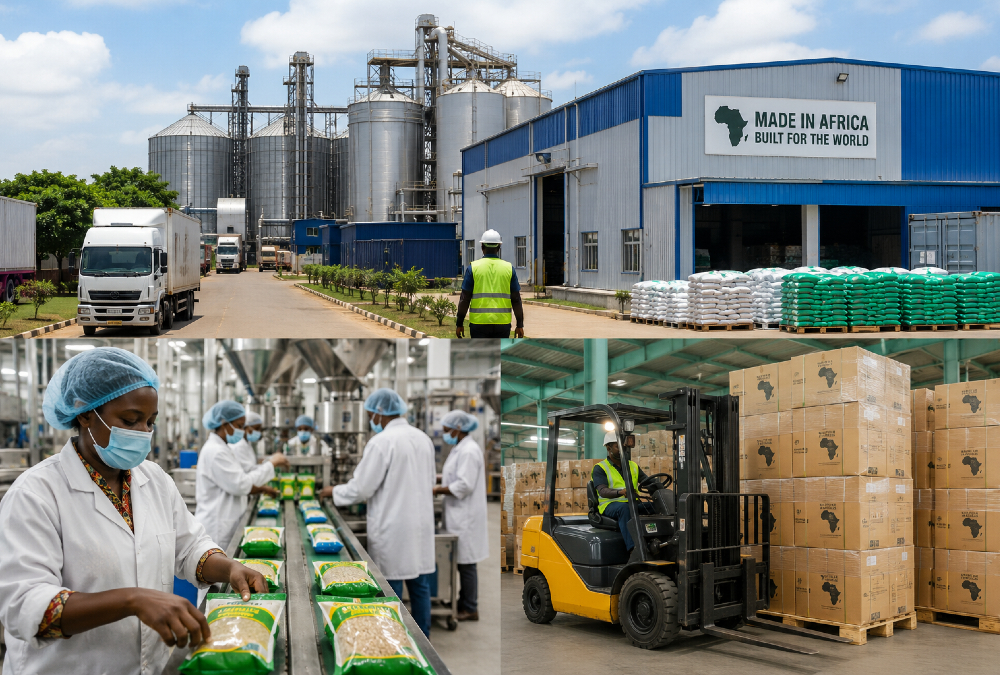 Industrial growth in Africa with manufacturing, processing, and packaging facilities