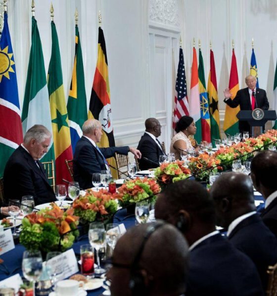 US-Africa diplomatic relations: transactional mineral-for-peace deals versus long-term demographic opportunity in a rapidly growing continent.
