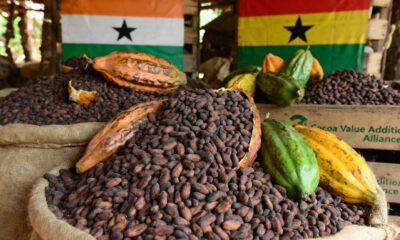 Cocoa beans from Côte d'Ivoire and Ghana, key members of the Cocoa Value Addition Alliance