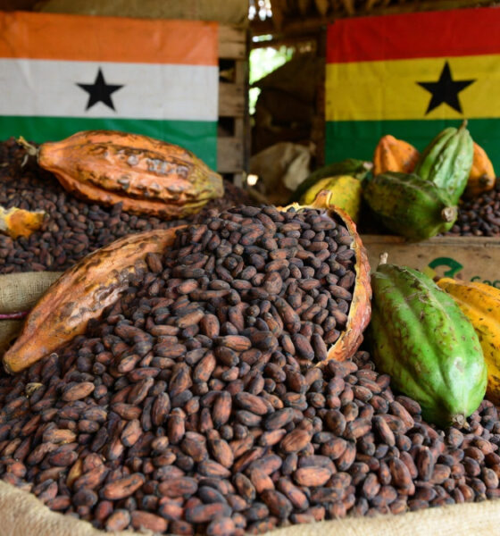 Cocoa beans from Côte d'Ivoire and Ghana, key members of the Cocoa Value Addition Alliance