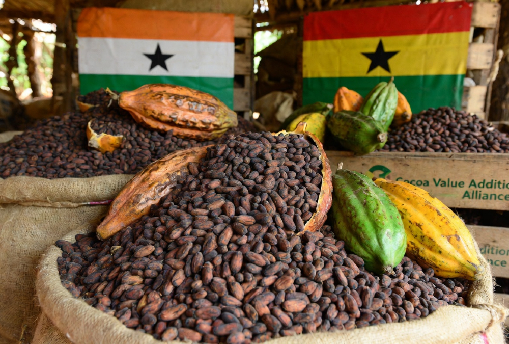Cocoa beans from Côte d'Ivoire and Ghana, key members of the Cocoa Value Addition Alliance