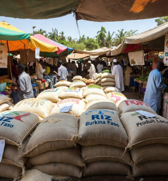 Burkina Faso rice sacks in a West African market, highlighting the impact of the rice import ban on regional trade and food sovereignty.