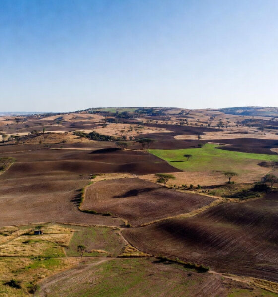 Aerial view of uncultivated arable farmland in Africa, highlighting the continent's untapped agricultural land potential.