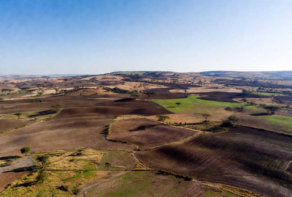 Aerial view of uncultivated arable farmland in Africa, highlighting the continent's untapped agricultural land potential.