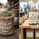 African moringa sold raw by the sack versus branded moringa powder retailing at $95 per kilo in Western stores