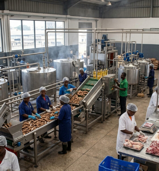 Urban food processing facility in West Africa meeting growing demand for processed foods, edible oils, and animal protein