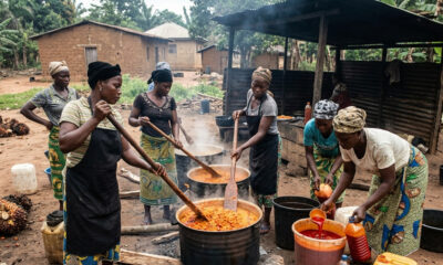 Women palm oil processors working in informal sector, extracting and packaging red palm oil in rural Nigeria, backbone of continent's women-led agricultural value chain.