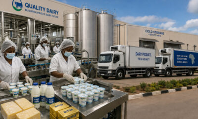Modern dairy processing plant and cold-chain storage infrastructure in Africa, supporting value-added exports of cheese, butter, and yogurt to neighboring countries.