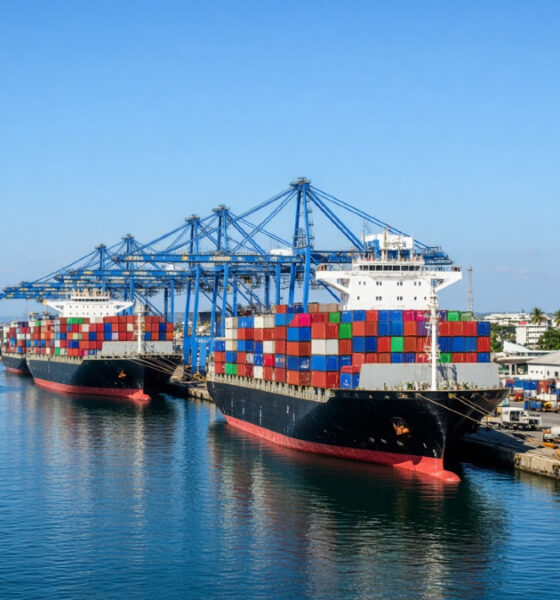 Container ships docked at Dar es Salaam port in Tanzania, East Africa's growing export gateway and logistics hub