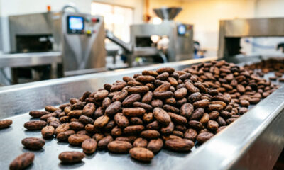 Dried cocoa beans at a processing facility in Ghana, part of the supply chain behind Niche Cocoa's historic investment in Wisconsin's food sector.