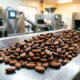 Dried cocoa beans at a processing facility in Ghana, part of the supply chain behind Niche Cocoa's historic investment in Wisconsin's food sector.