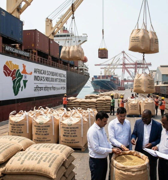 African soybeans meeting India's 900,000 metric ton import demand for non-GMO beans