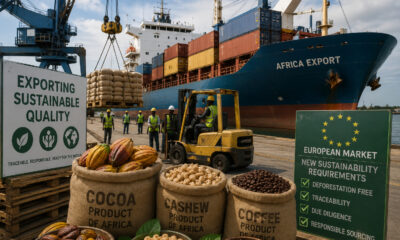 Container ship loading African agricultural exports including cocoa, cashew, and coffee for European markets with new sustainability requirements