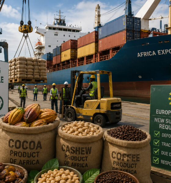 Container ship loading African agricultural exports including cocoa, cashew, and coffee for European markets with new sustainability requirements
