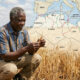 African farmer inspecting wheat crop with map of North Africa food import routes overlay