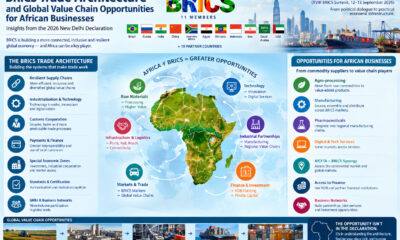 Infographic showing BRICS trade architecture and global value chain opportunities for African businesses after the 2026 New Delhi Declaration.