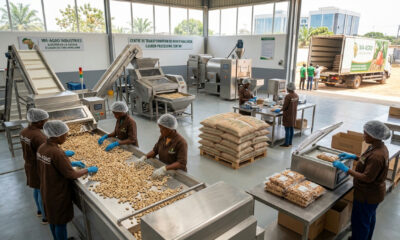 Modern agro-processing facility in West Africa capturing value in the African agribusiness value chain.
