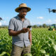 Tech-savvy African farmer using a smartphone in a lush field, representing the booming African rural economy and agritech growth.