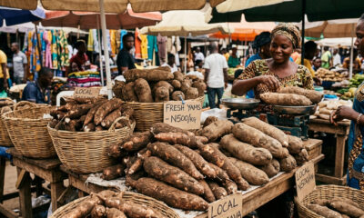 Fresh local cassava and yams at a market, promoting local food consumption and modernizing African agriculture.