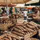 Fresh local cassava and yams at a market, promoting local food consumption and modernizing African agriculture.