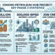 Infographic detailing the $28 billion Phase 2 investment, 300,000 bpsd refining capacity, and job creation for the Jomoro energy megaproject.