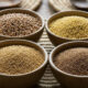 Bowls of sorghum, millet, fonio, and teff - indigenous African crops long overshadowed by imported staples.