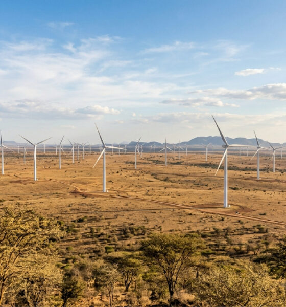Large-scale wind farm in Africa highlighting the continent's vast natural capital and renewable energy investment potential.