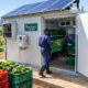 Solar-powered cold room storing fresh produce crates at an African farm